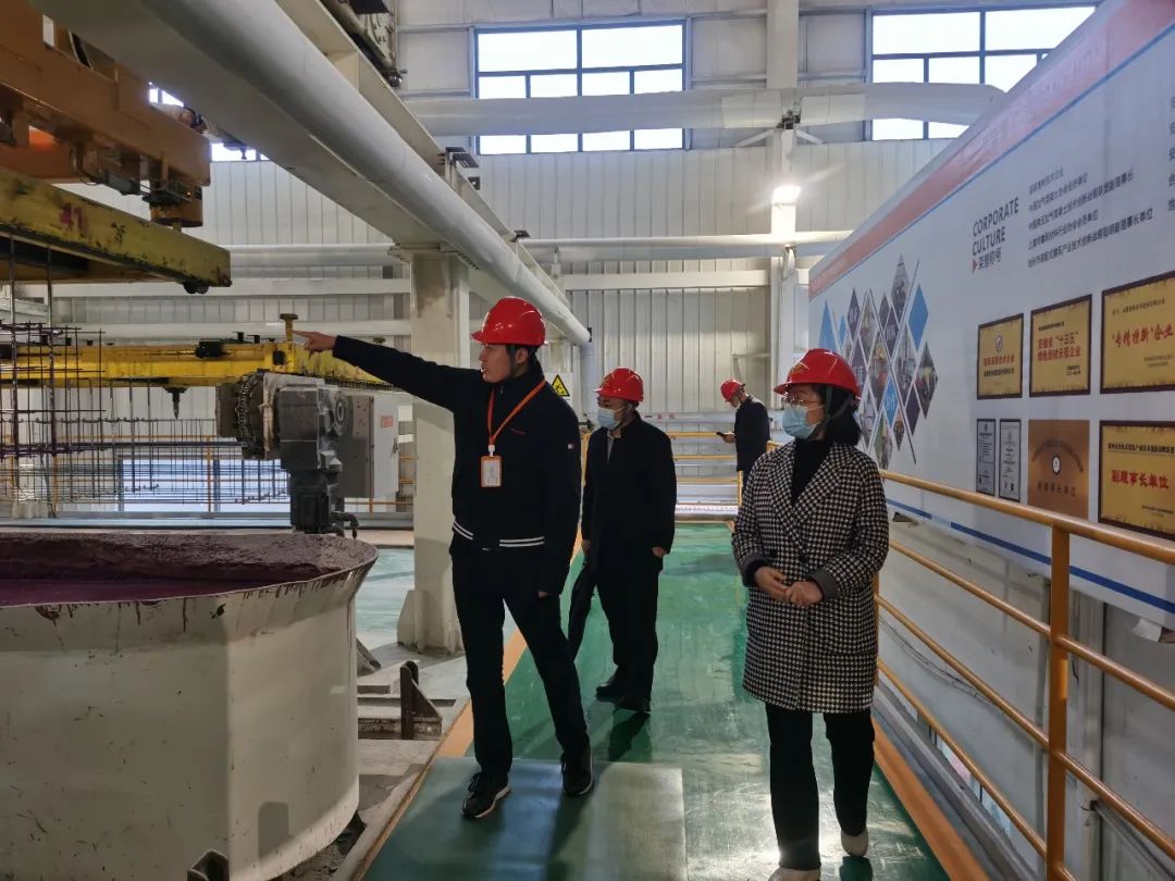 “优化营商环境、推进产业强区”区政协领导司月中带领考察团来我司深度调研